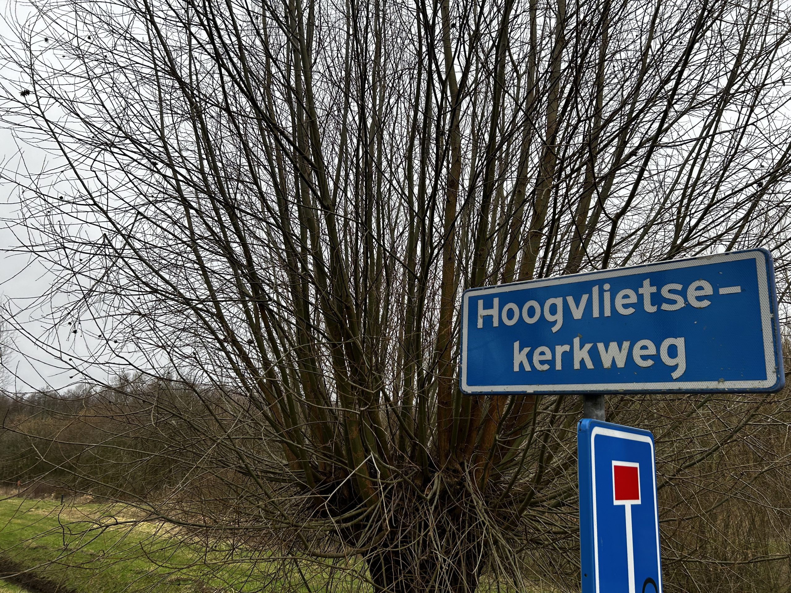 42 jarige inwoner uit Spijkenisse aangehouden als verdachte van een zedendelict in Hoogvliet