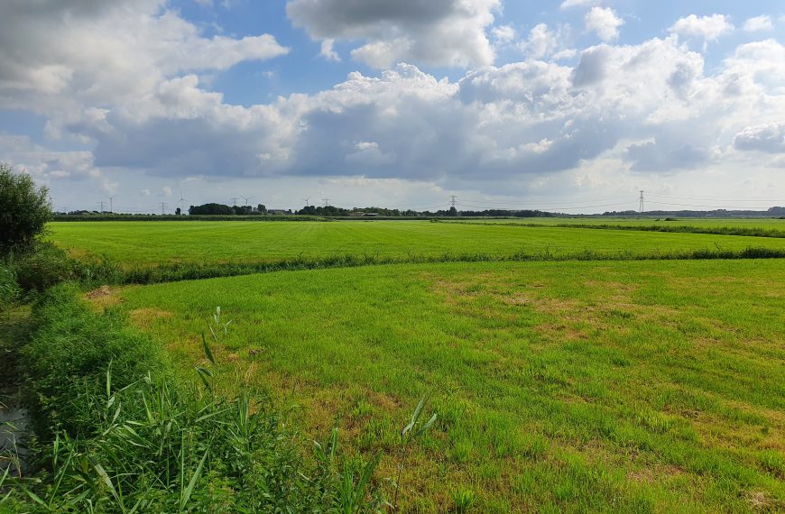 Mogelijke vestiging van een grote waterstoffabriek in de Bernisse: een controversieel plan