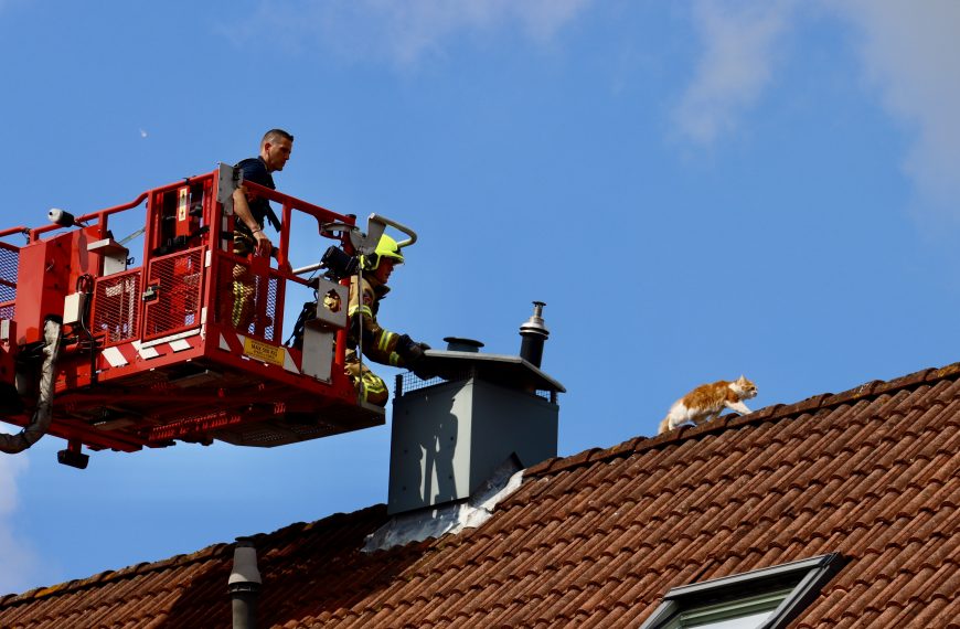 Kat op het dak loopt weg voor redders