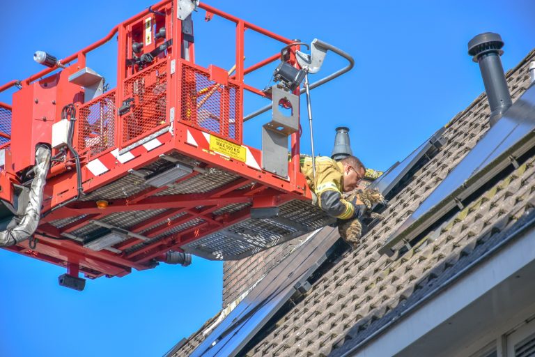 Kat onder zonnepanelen aan de Ristervoorde