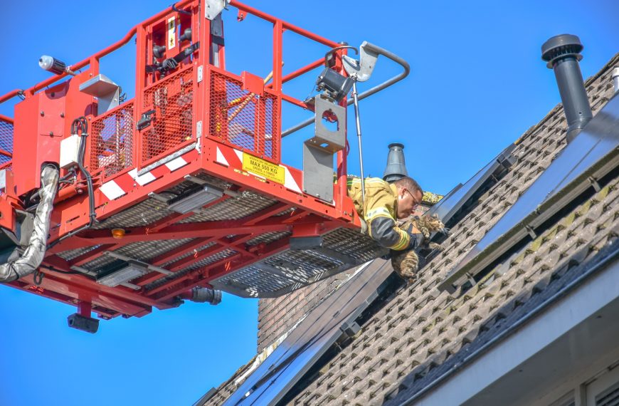 Kat onder zonnepanelen aan de Ristervoorde