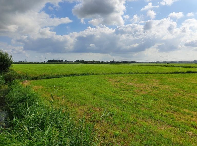 Geen waterstoffabriek bij Simonshaven