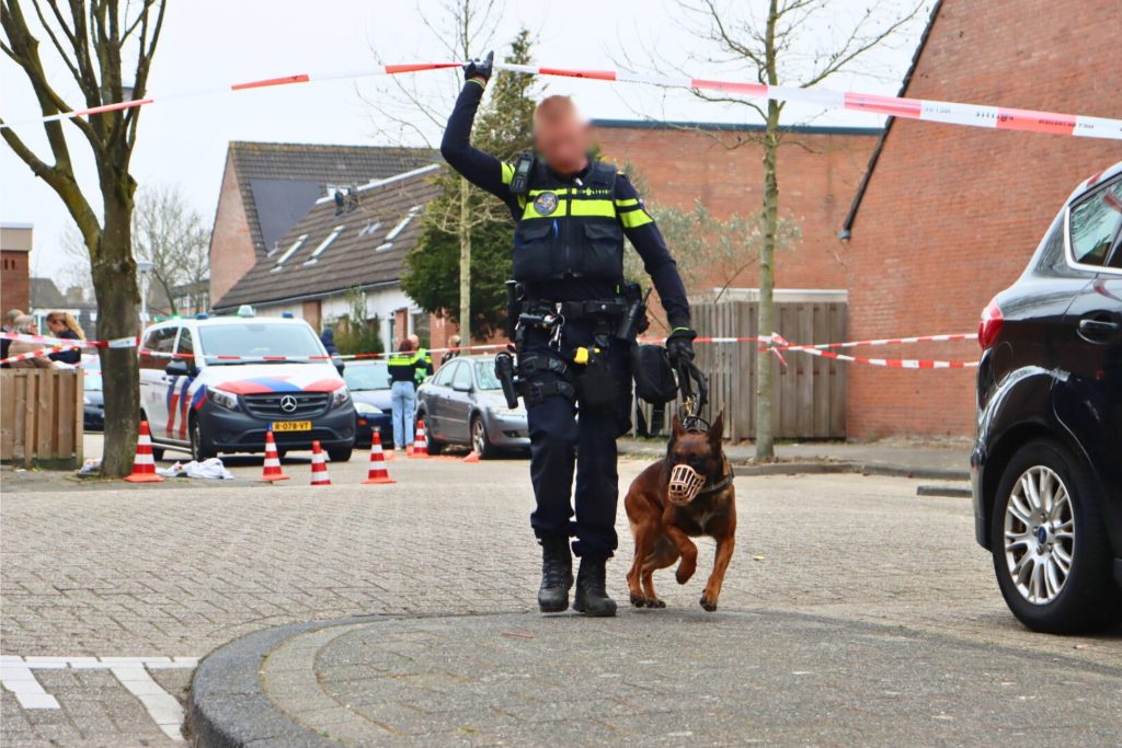 Steekpartij Akkersvoorde