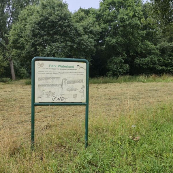 Meerdere dode zwanen in Park Waterland