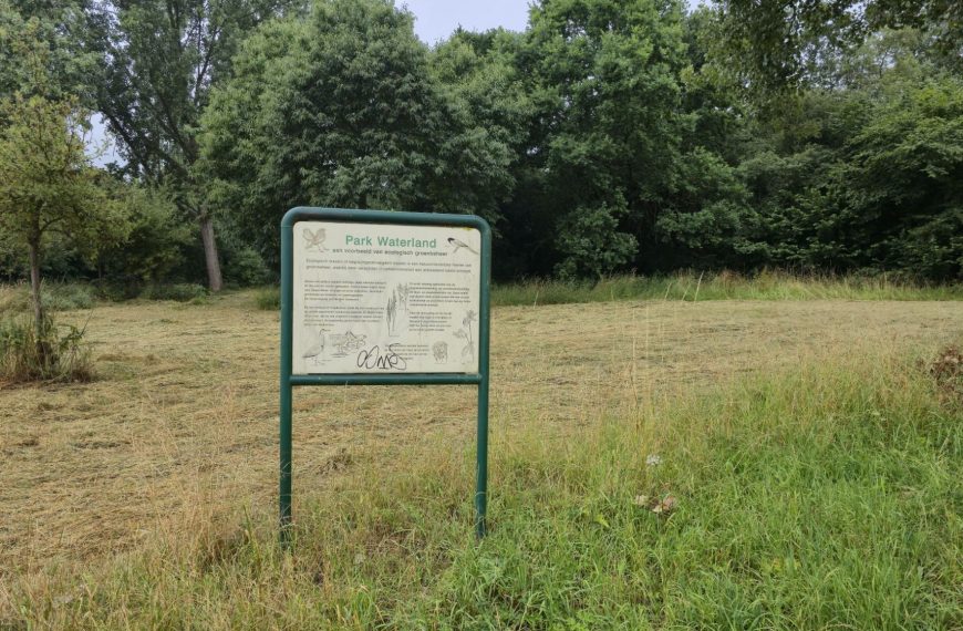 Meerdere dode zwanen in Park Waterland