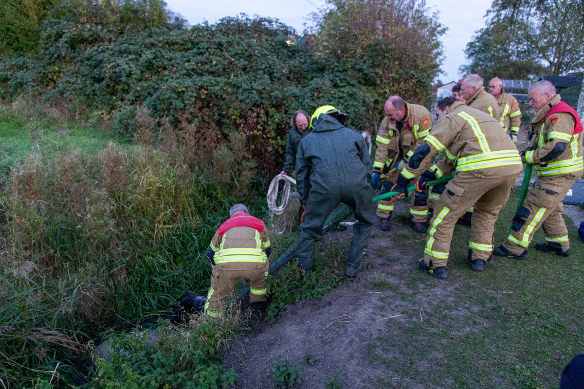 Pony veilig uit sloot gered in…